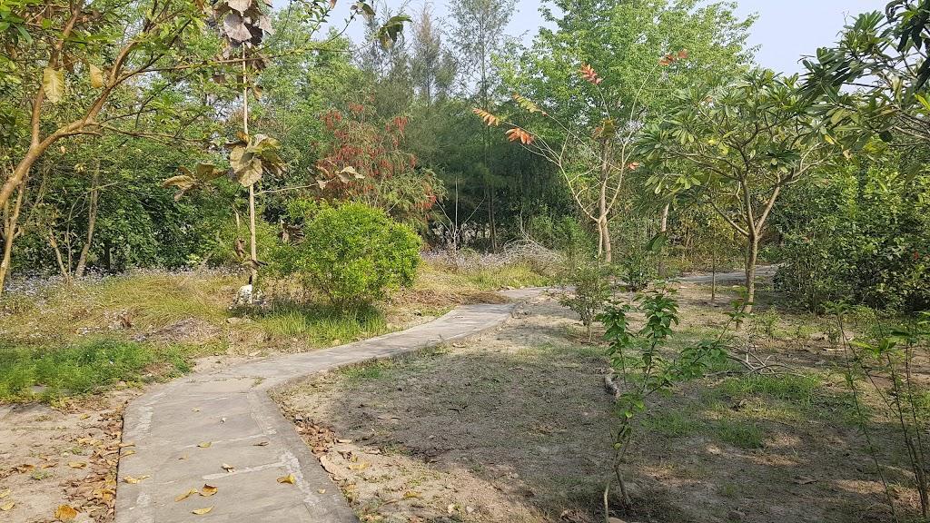 V Resorts Dudhwa Wilderness Camp Lakhimpur エクステリア 写真