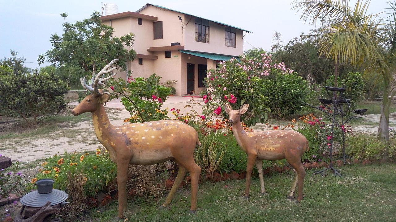V Resorts Dudhwa Wilderness Camp Lakhimpur エクステリア 写真